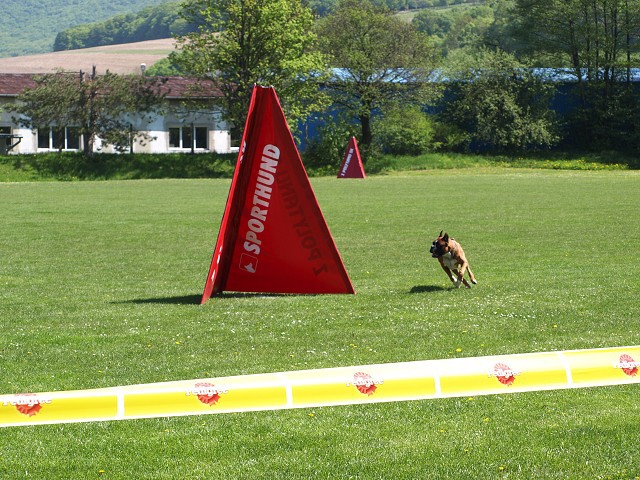 www.atibox.net * www.euroboxer.eu * www.boxergenealogia.eu
